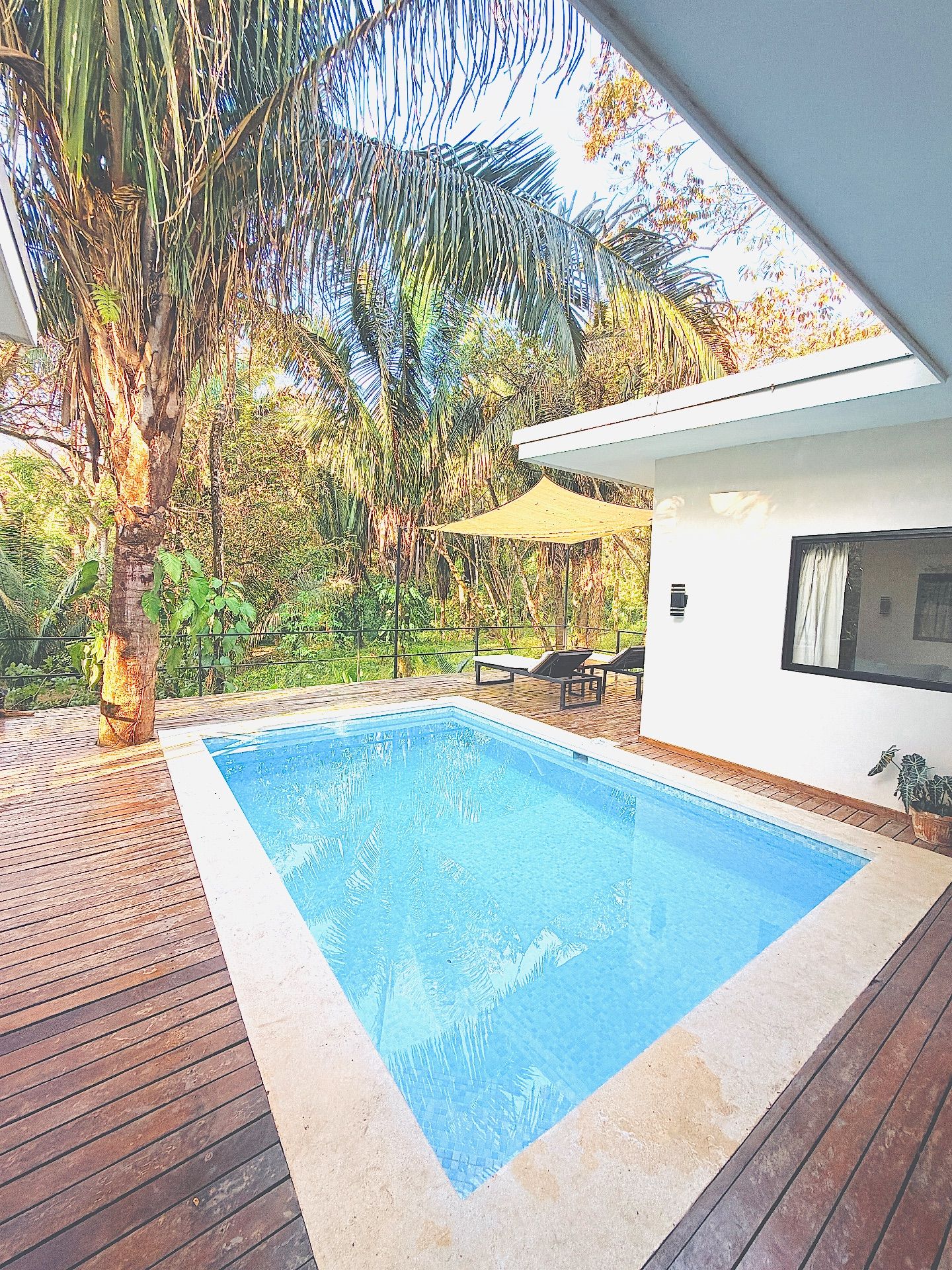 Casa en la Selva photo 2